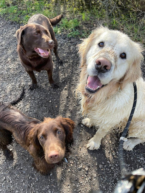 Dog walker Lee on the Solent and Stubbington